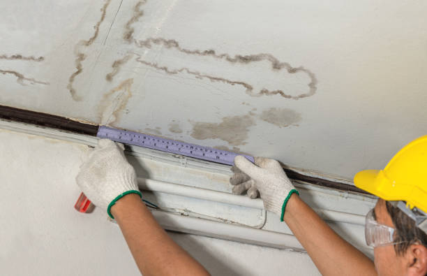 Reliable Water Removal contractor in Lavon, TX by Water Damage Irwin
